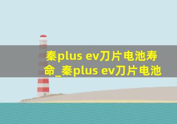 秦plus ev刀片电池寿命_秦plus ev刀片电池